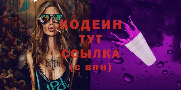 мдпв Протвино