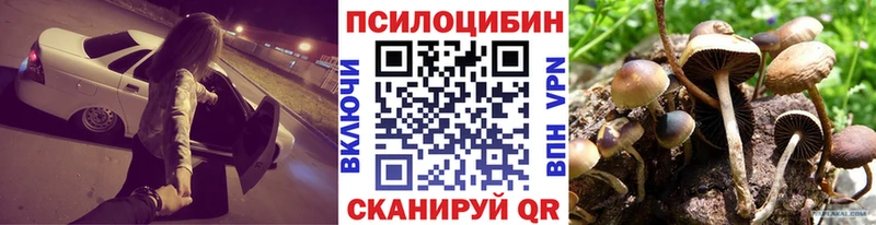 купить наркотики сайты Таштагол Псилоцибиновые грибы прущие грибы